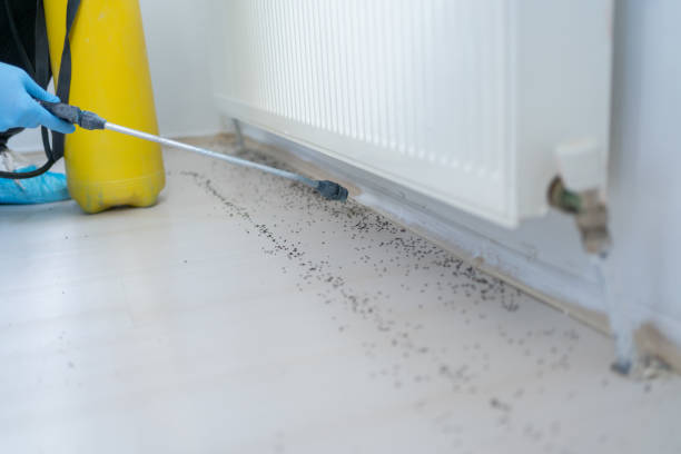 Best Emergency Pest Control  in Middlesborough, KY