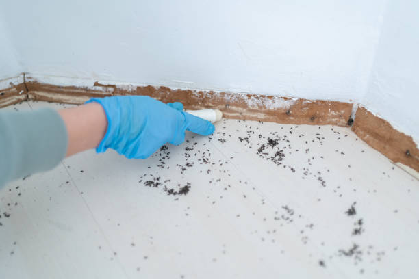 Best Wildlife Control Services  in Middlesborough, KY